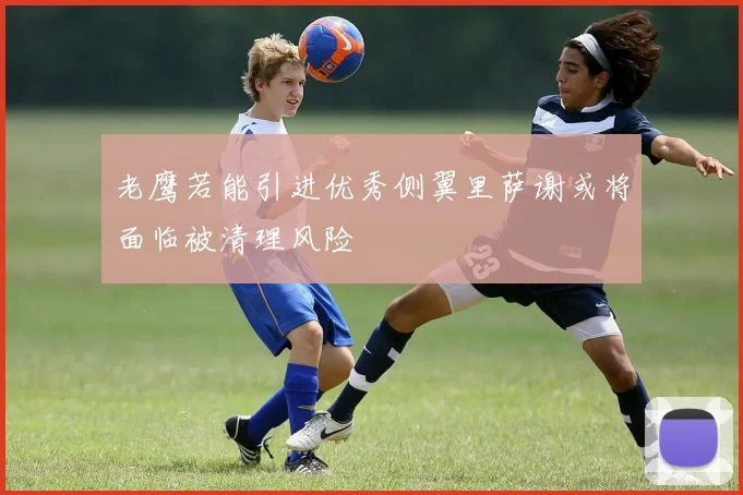 老鹰若能引进优秀侧翼里萨谢或将面临被清理风险