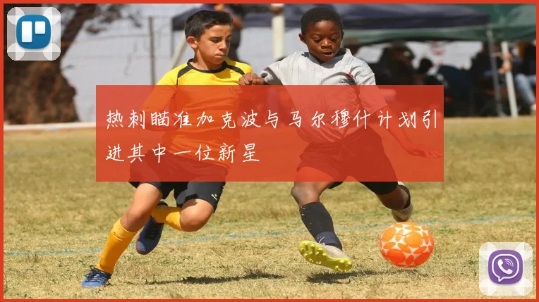 热刺瞄准加克波与马尔穆什计划引进其中一位新星