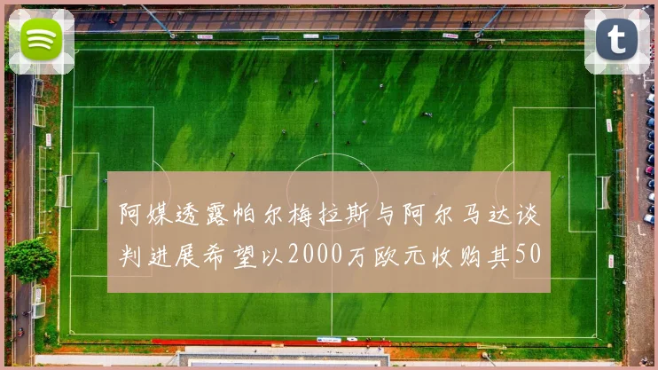 阿媒透露帕尔梅拉斯与阿尔马达谈判进展希望以2000万欧元收购其50所有权
