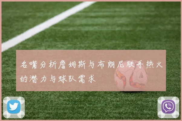 名嘴分析詹姆斯与布朗尼联手热火的潜力与球队需求